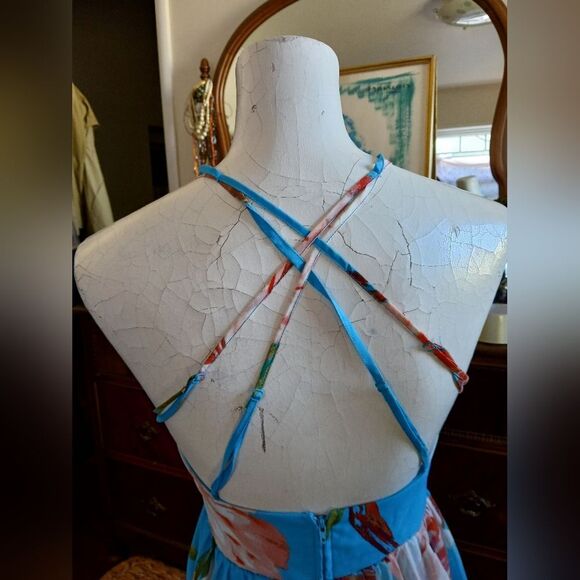 Bisou Bisou Chiffon Maxi Dress Size 2 - Picture 4 of 8